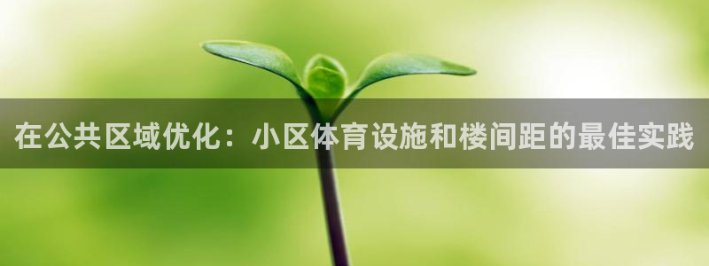 意昂3代理：在公共区域优化：小区体育设施和楼间距的最