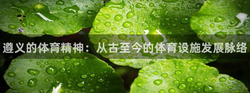 意昂3神州：遵义的体育精神：从古至今的体育设施发展脉络