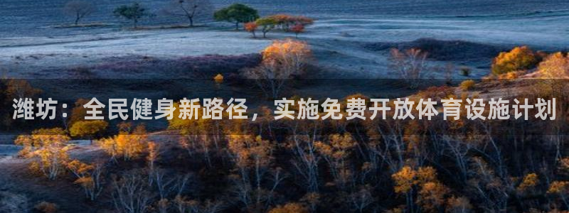 德国意昂3集团：潍坊：全民健身新路径，实施免费开放体育设施计