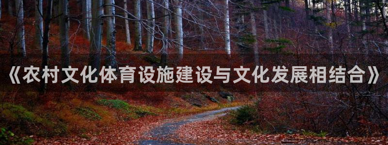 意昂3科技：《农村文化体育设施建设与文化发展相结合》