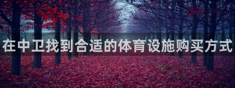 意昂3集团官网网址：在中卫找到合适的体育设施购买方式