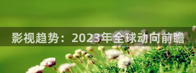 噜噜影院在线：影视趋势：2023年全球动向前瞻