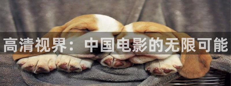 噜噜噜被窝影院：高清视界：中国电影的无限可能