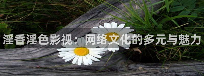 噜噜影院日韩电影：淫香淫色影视：网络文化的多元与魅力